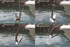 ULTRA MARINE Edelstahl Ankerwirbel UFS 6-12 -PLAST Boote Geschaft flip swivel haken2 2