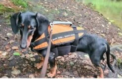 Lindemann Hundeschwimmhilfe 15-40 Kg