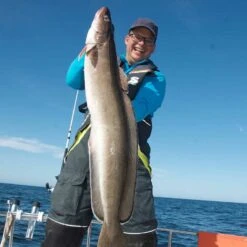 Secumar Rettungsweste Ultra 170 -PLAST Boote Geschaft secumar rettungsweste ultra 170 hawaiian ocean hellgrau orange 01